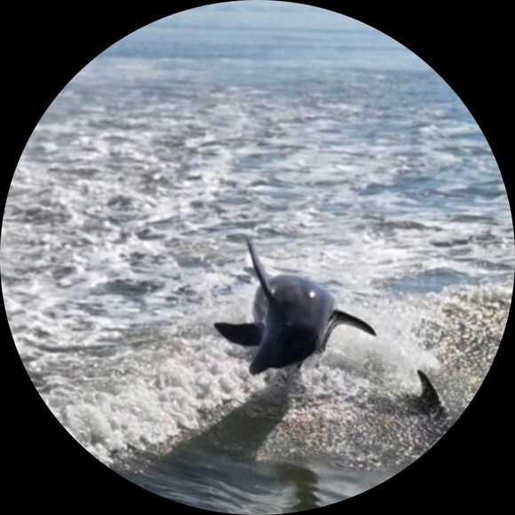 jenns_fun_finds